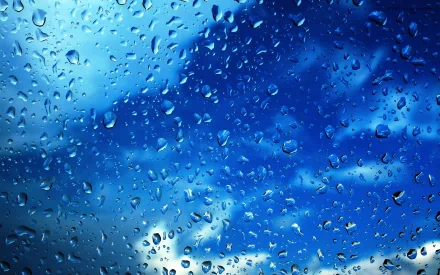 photography raindrops HD Desktop Wallpaper | Background Image