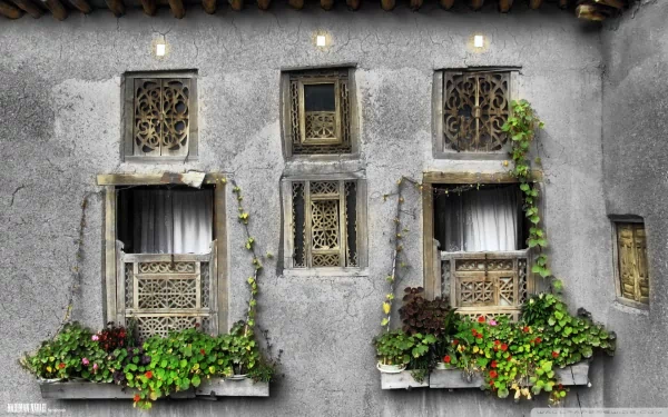 HD desktop wallpaper featuring man-made architectural details with rustic balconies adorned with greenery and intricate window grilles on an aged building facade.
