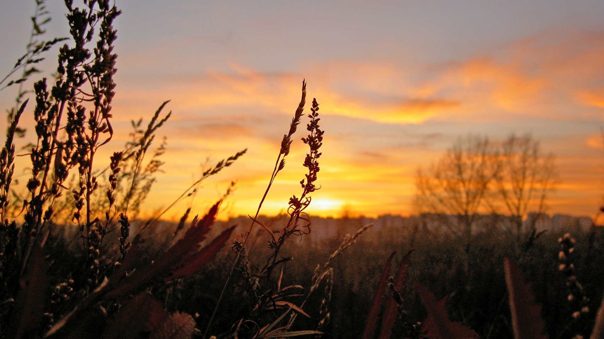Download Nature Sunset HD Wallpaper