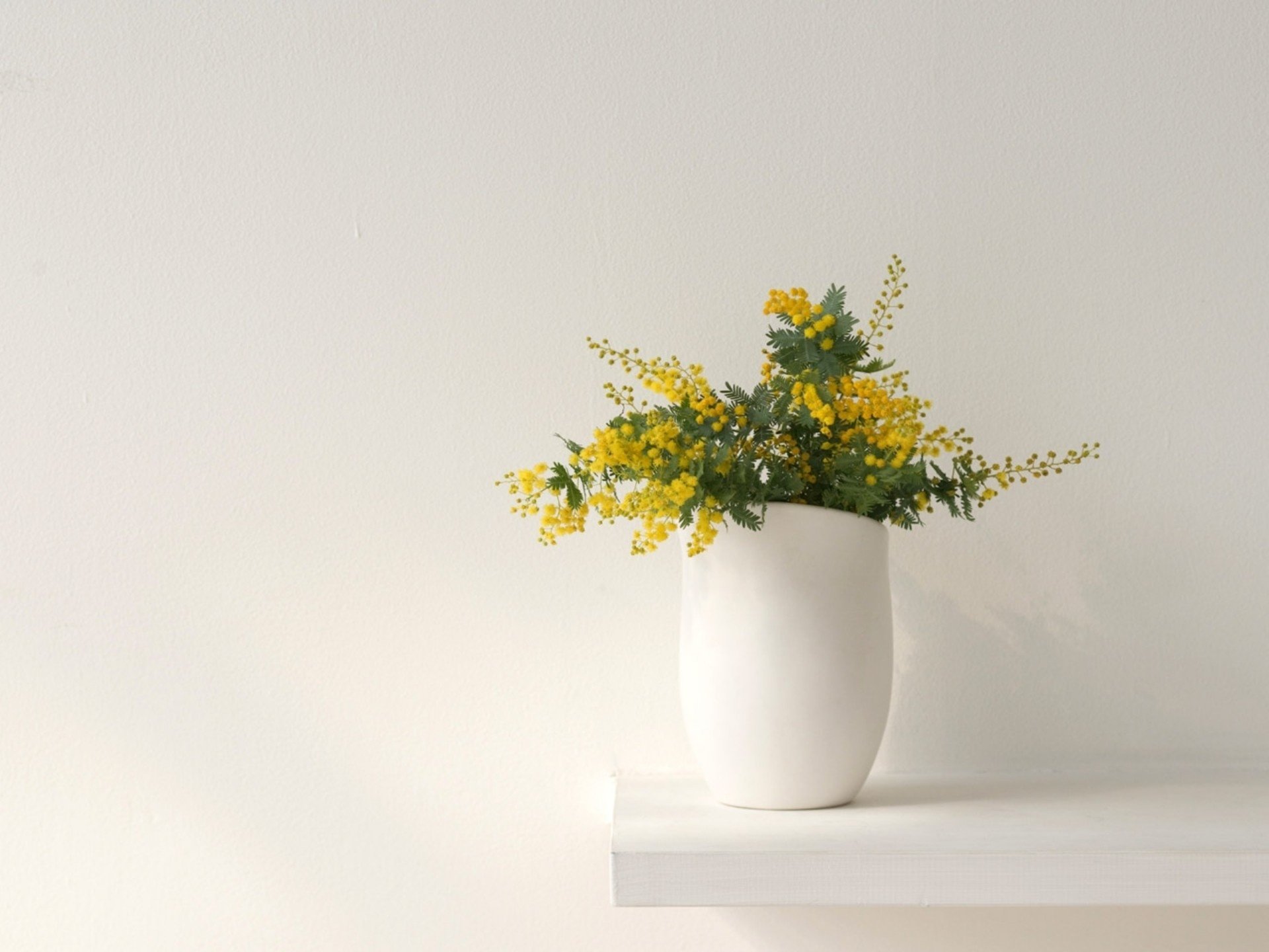 Обои в стиле вазы. Цветы Минимализм. Ваза с цветами. Желтая ваза с цветами. Минимализм в цветочных композициях.