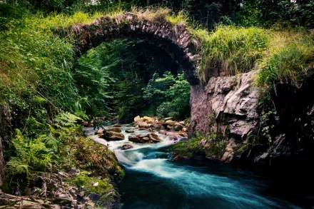 nature river HD Desktop Wallpaper | Background Image