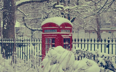 man made callbox HD Desktop Wallpaper | Background Image