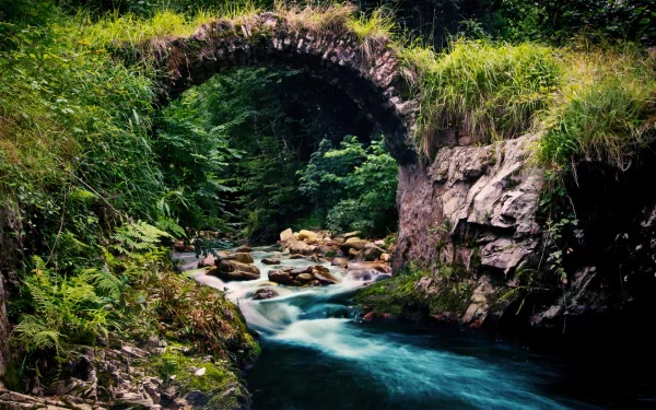 nature river HD Desktop Wallpaper | Background Image