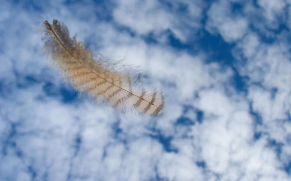 HD PC desktop wallpaper of a single bird feather floating above fluffy white clouds against a bright blue sky, feather photography background.