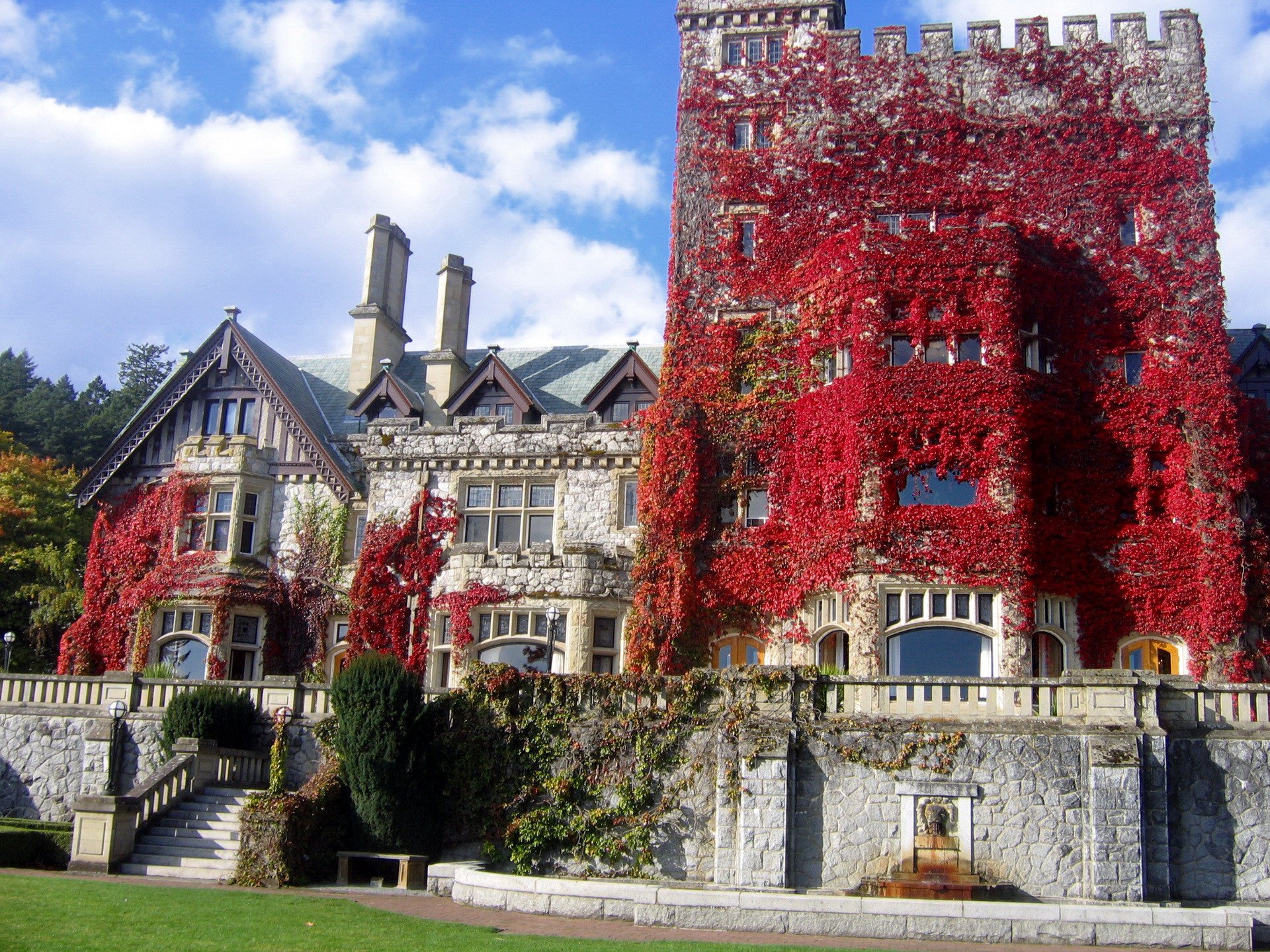 Majestic Ivy-Clad Castle | Stunning HD Man-Made Masterpiece | 1920x1440 ...