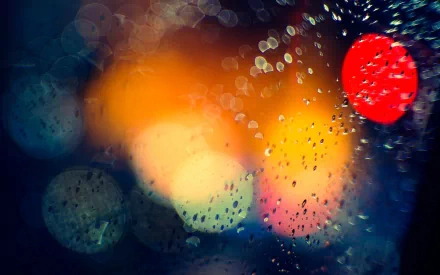 photography raindrops HD Desktop Wallpaper | Background Image