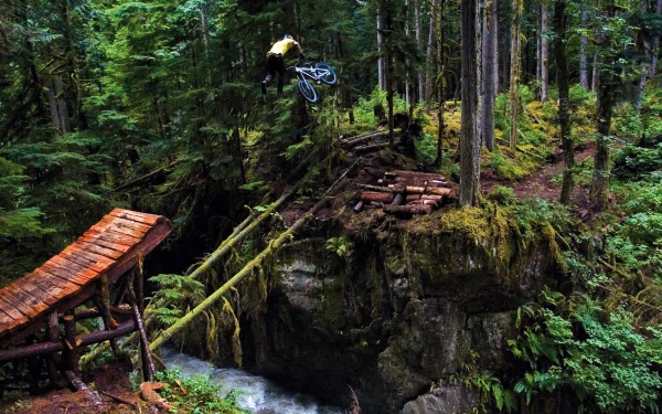 A BMX rider performs a jump in a lush forest setting as part of an HD desktop wallpaper and background.