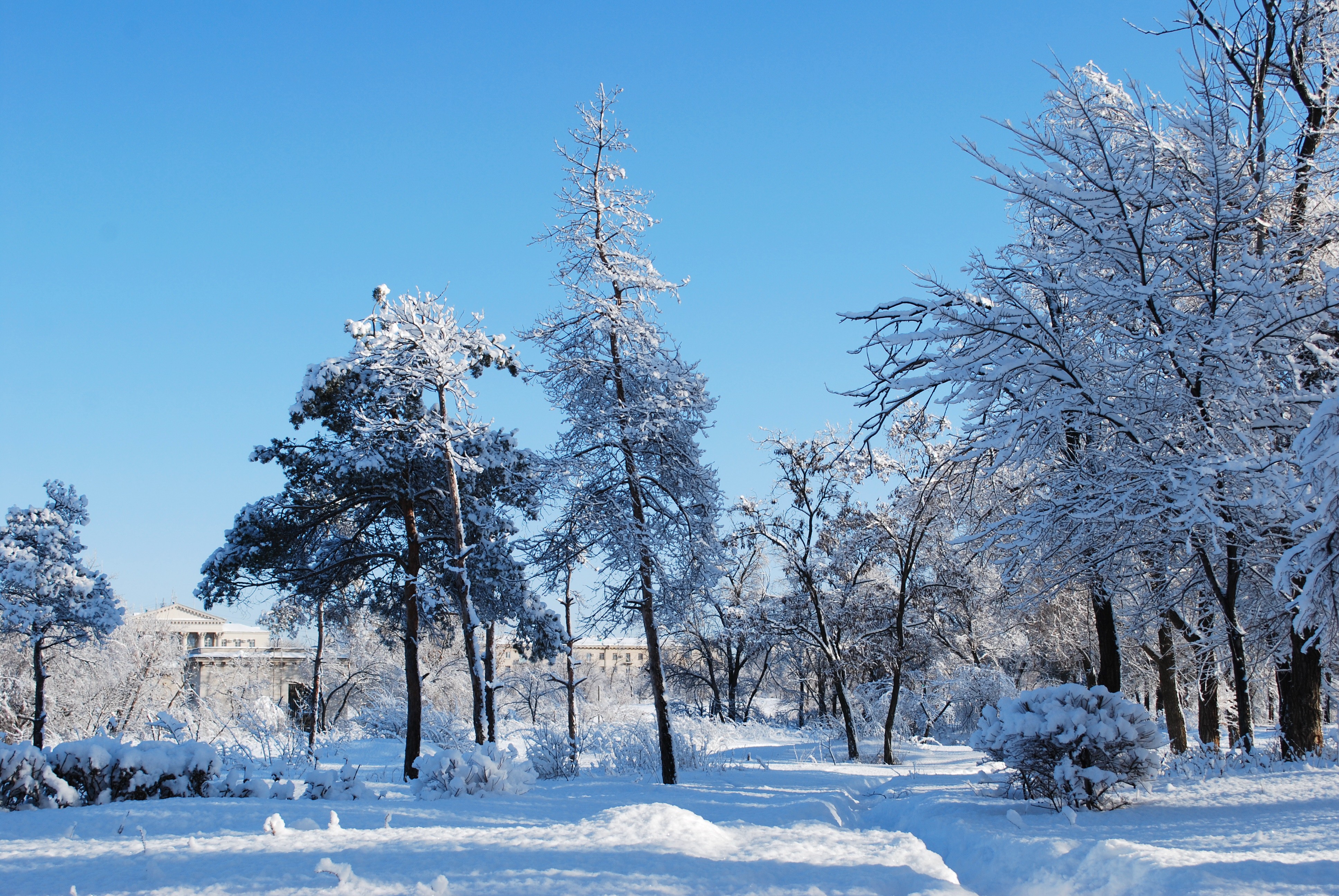 Download Nature Winter 4k Ultra HD Wallpaper