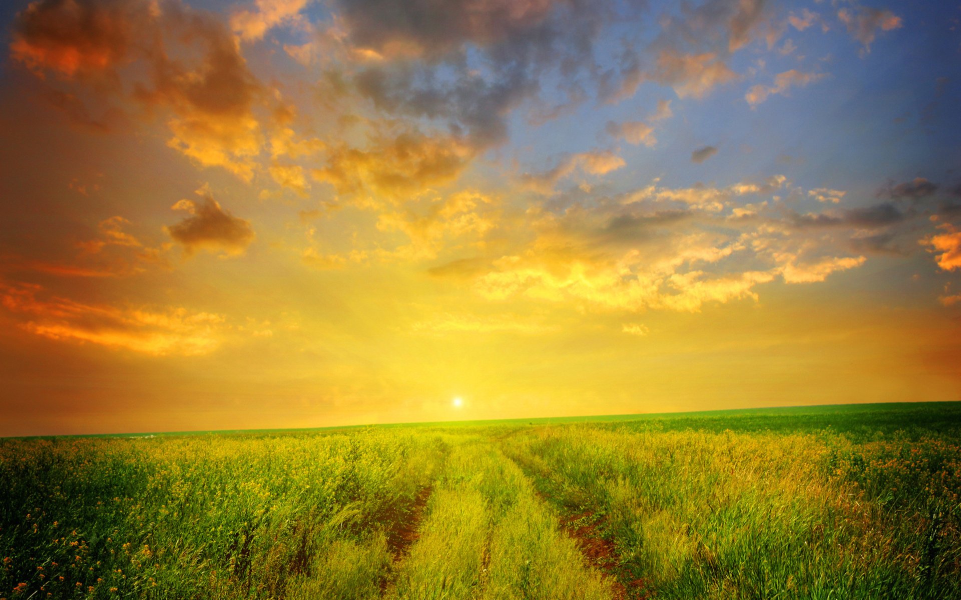 Download Nature Landscape HD Wallpaper