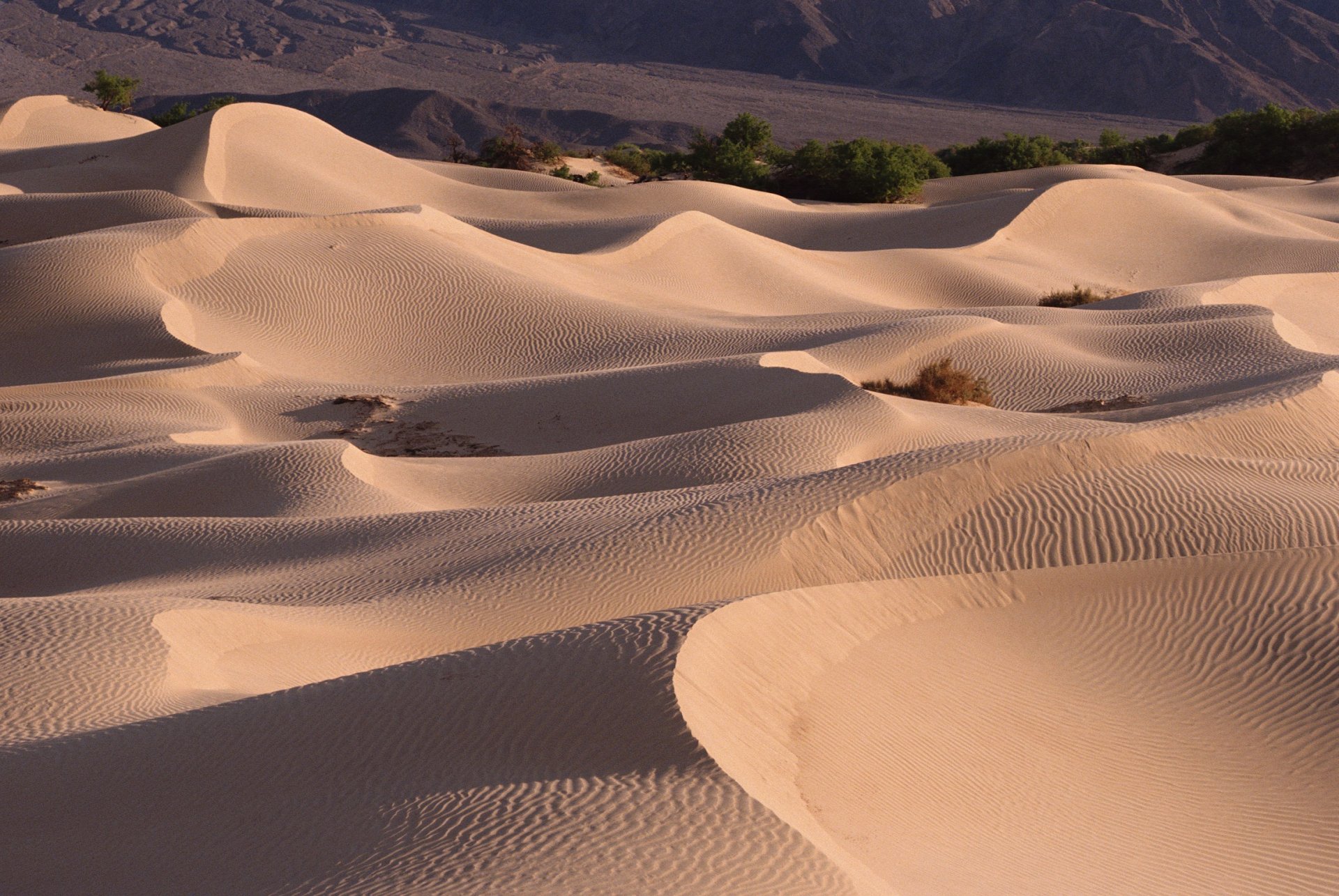 Download Nature Desert HD Wallpaper