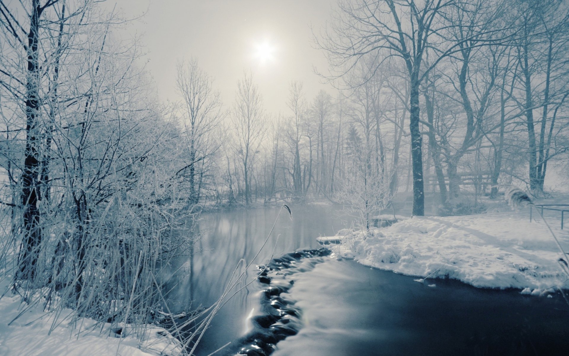 2K Quad HD PC desktop wallpaper: snowy riverside in misty woods, bare trees, and a sunbeam piercing fog over a partially frozen stream.