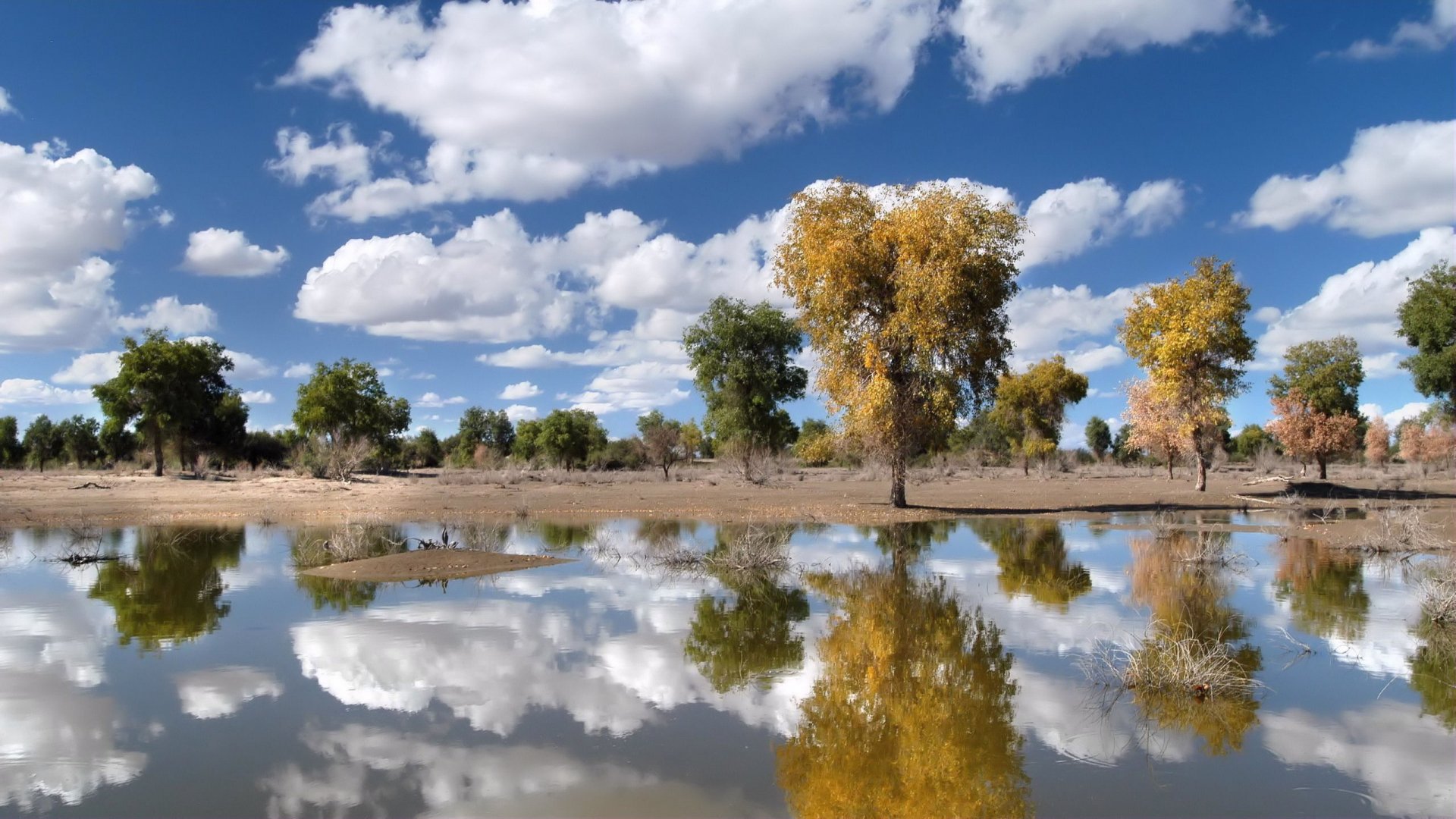 HD desktop wallpaper of a serene natural scene featuring trees and clouds reflected clearly on calm water under a bright blue sky.