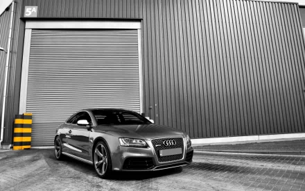 vehicle Audi RS5 HD Desktop Wallpaper | Background Image