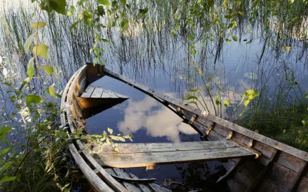 HD PC desktop wallpaper showing a weathered wooden rowboat partially filled with water, surrounded by reeds and vegetation, reflecting the sky above.