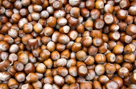 food hazelnut HD Desktop Wallpaper | Background Image