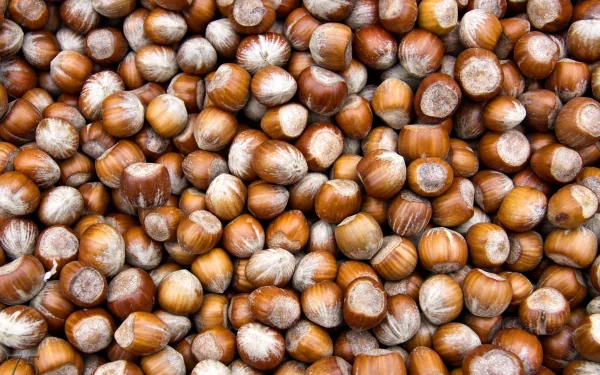 food hazelnut HD Desktop Wallpaper | Background Image