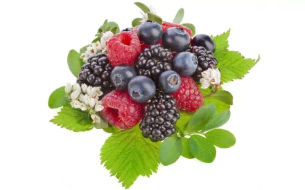 food berry HD Desktop Wallpaper | Background Image