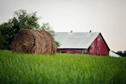 man made barn HD Desktop Wallpaper | Background Image