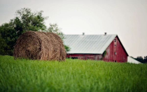 man made barn HD Desktop Wallpaper | Background Image