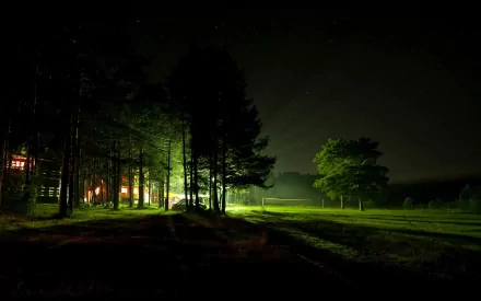2K Quad HD PC desktop wallpaper and background: night photography of a green-lit forest edge with warm cabin lights casting long shadows across a misty grassy clearing.