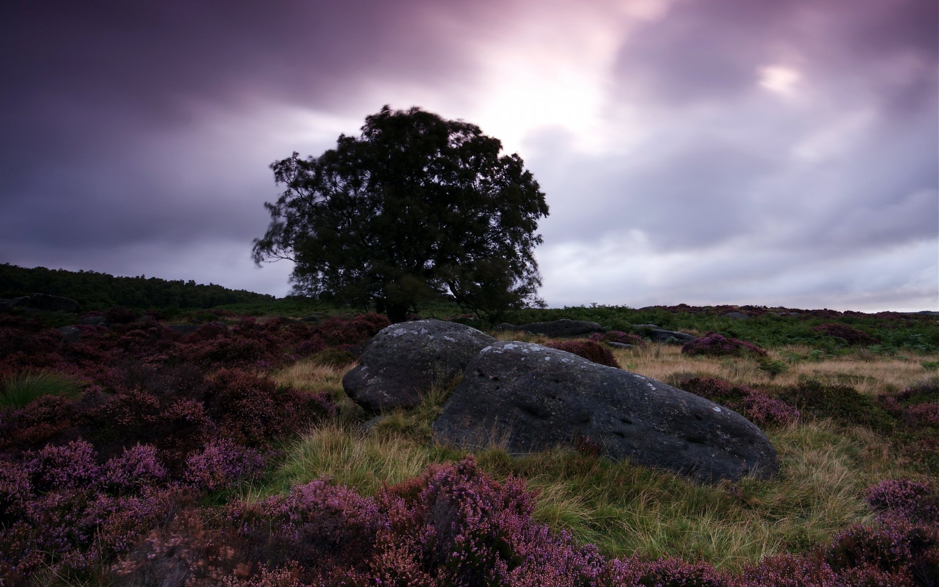 Nature Landscape HD Wallpaper