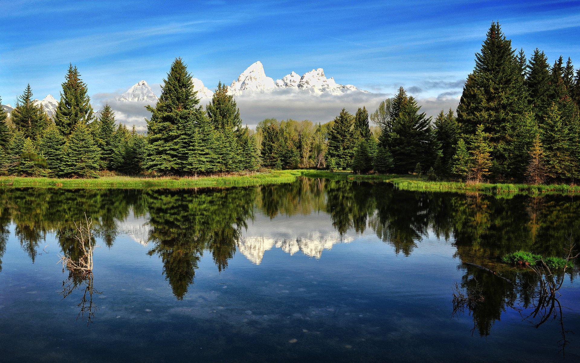Download Lake Mountain Tree Nature Reflection HD Wallpaper