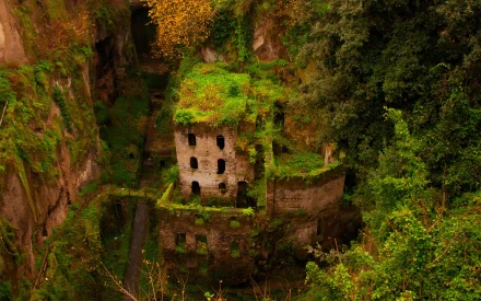 A captivating HD desktop wallpaper featuring an ancient ruin overgrown with lush greenery, showcasing the beauty of nature reclaiming man-made structures.