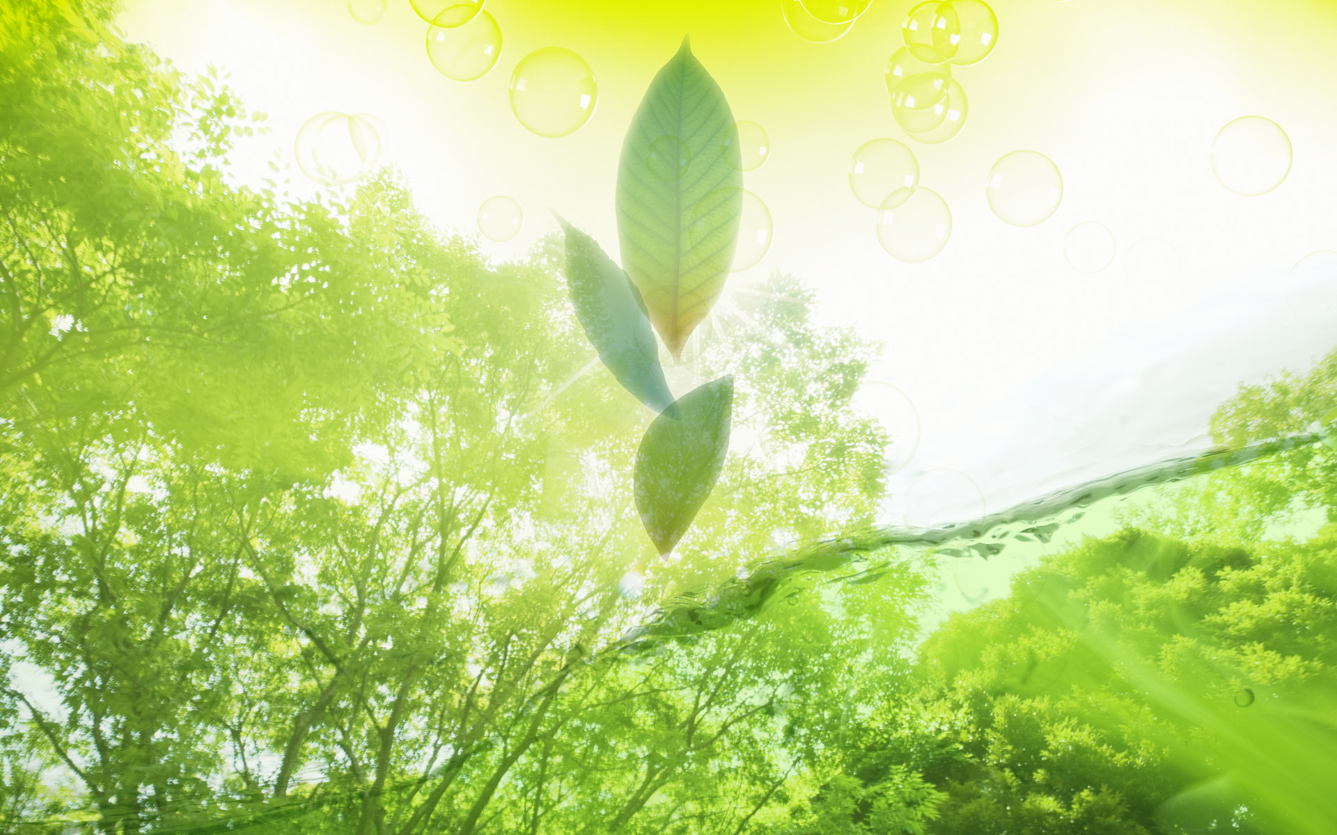 Hãy thưởng thức những bức hình nền Artistic Leaf Wallpaper cho máy tính của bạn. Màu xanh lá cây sẽ đưa bạn đến thiên nhiên nguyên thủy và cảm nhận được sự yên bình và thanh tịnh. Với những thiết kế tinh tế và độc đáo, bạn sẽ có được một không gian làm việc hoàn hảo với một bức tranh nền tuyệt đẹp.