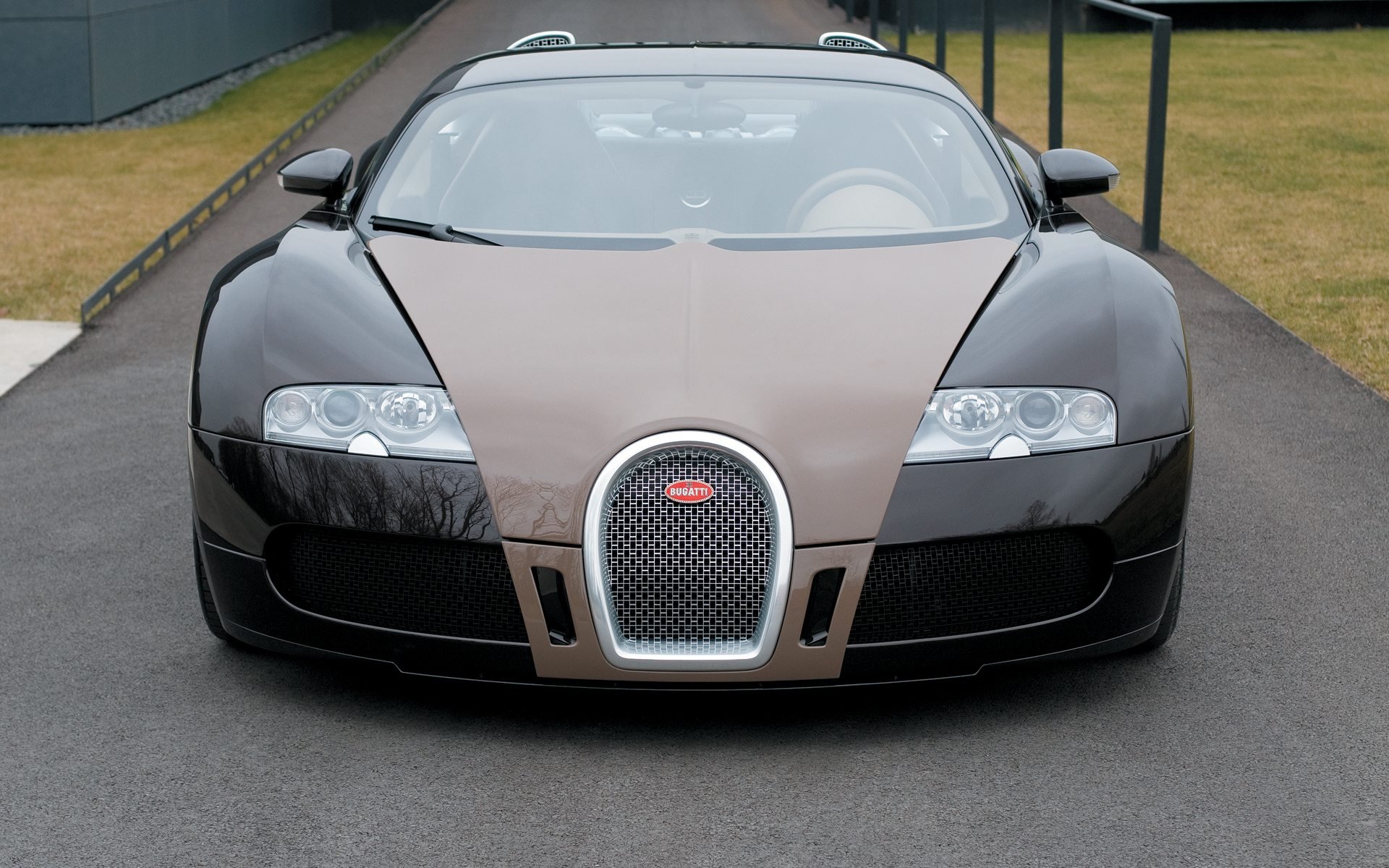 Download Vehicle Bugatti Veyron HD Wallpaper