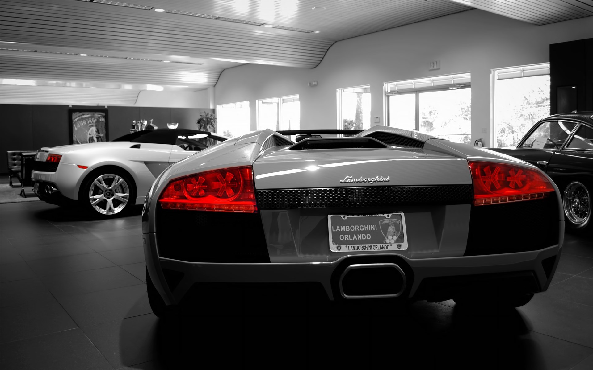 Lamborghini HD Wallpaper | Background Image | 1920x1200 | ID:367058