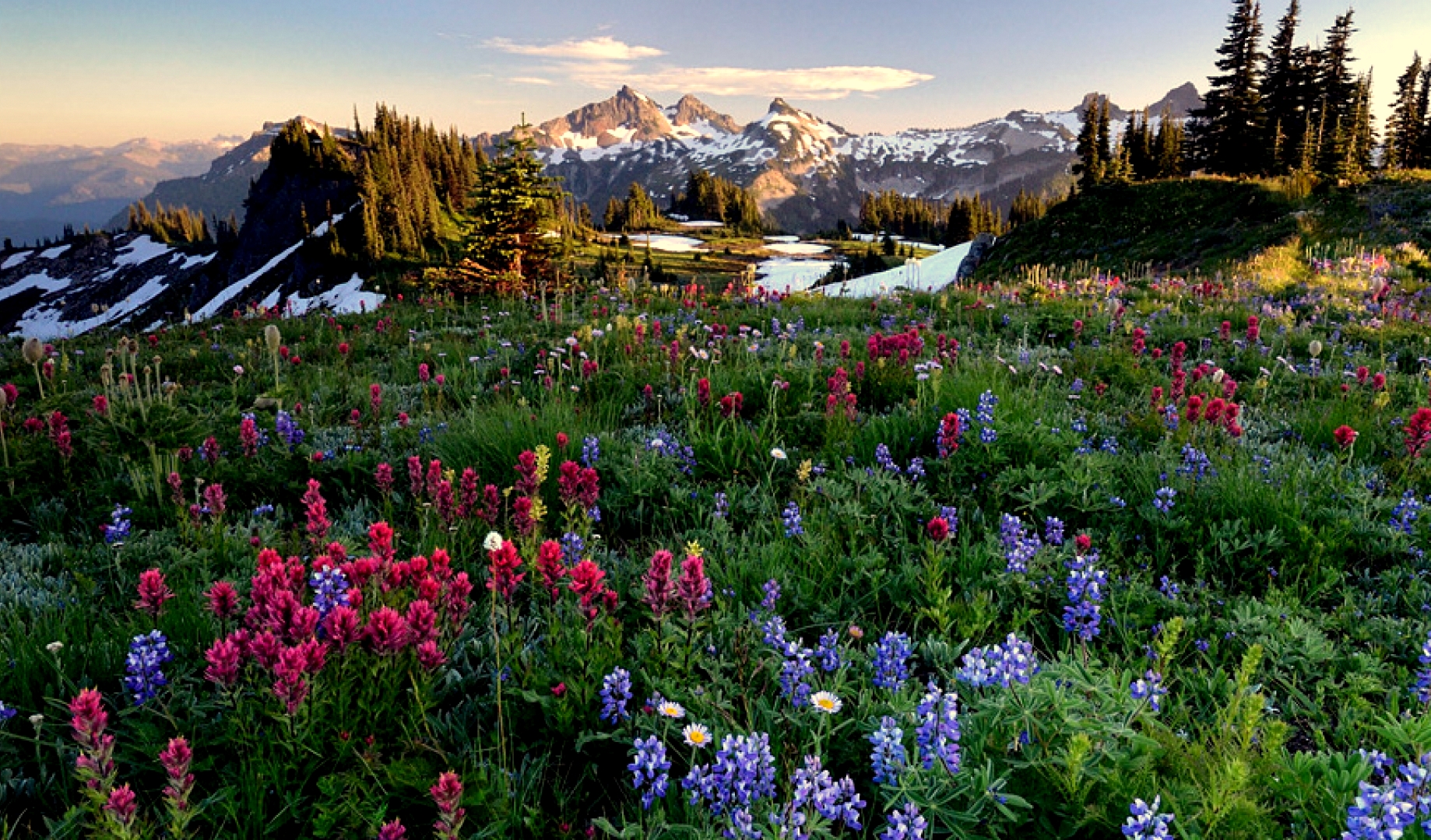 Цветочная земля. Пазл Ravensburger Flowery Mountains. Смотреть картинки Цветущий рай. Раи РФ фото. Весенний рай гайд.