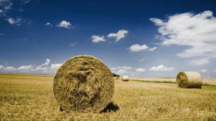 nature haystack HD Desktop Wallpaper | Background Image