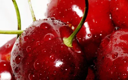 Close-up of fresh, glistening cherries with droplets of water, serving as a vibrant and appetizing HD PC desktop wallpaper and background.