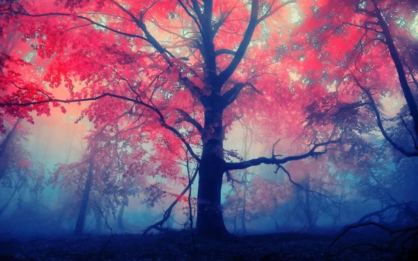 HD desktop wallpaper featuring a serene fall scene with a misty forest and vibrant red foliage.