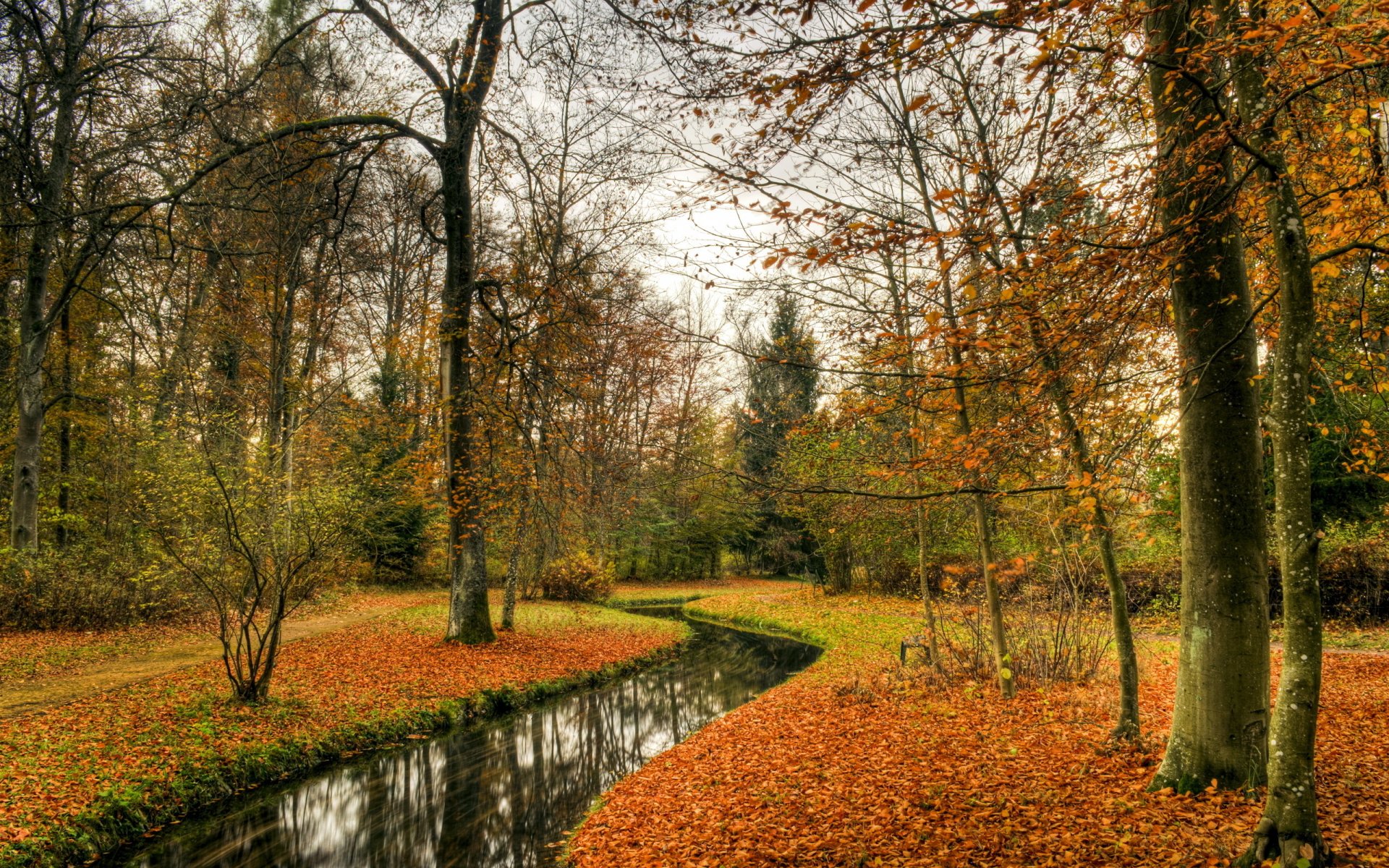 HD PC desktop wallpaper showcasing a serene fall landscape with a winding stream, bare trees, and vibrant orange leaves covering the ground in a peaceful natural setting.