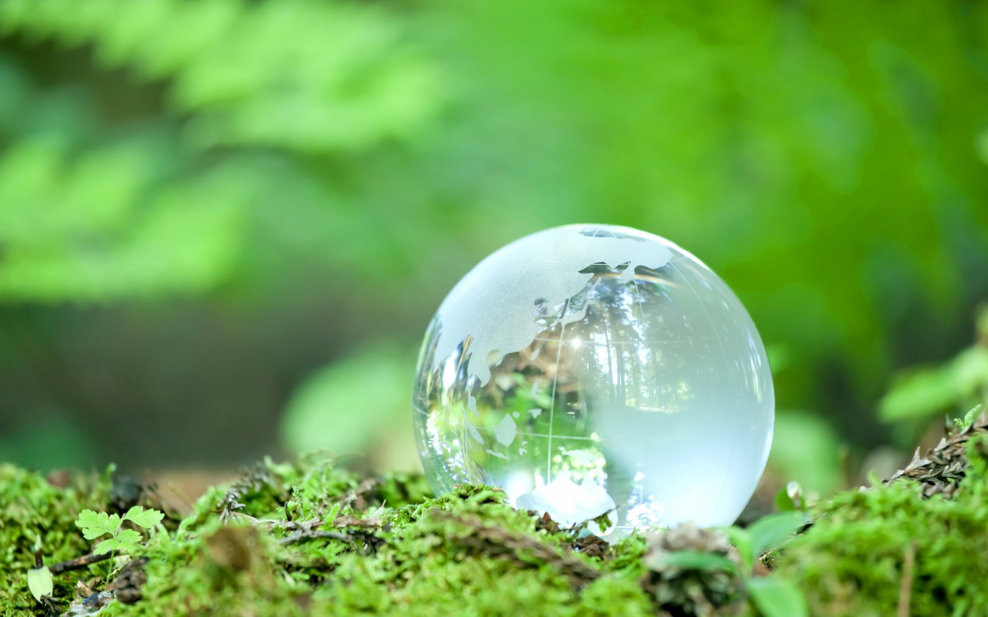 Crystal-clear man-made globe resting on green moss, captured in a high-definition desktop wallpaper showcasing nature’s vibrant background.