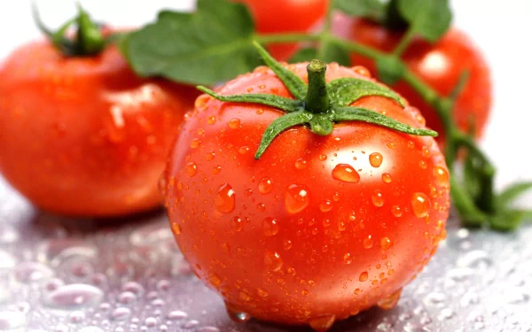 Close-up of fresh, glistening red tomatoes with droplets of water, set against a soft background. This HD PC desktop wallpaper captures the vibrant beauty of food.