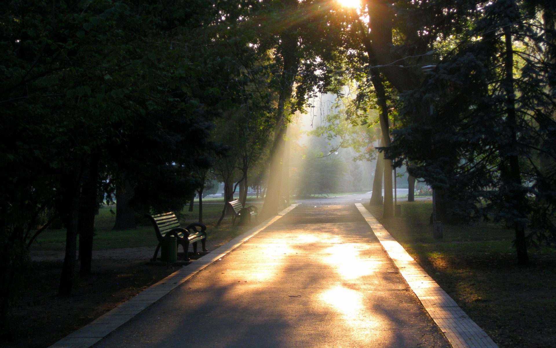 Photography Park HD Wallpaper