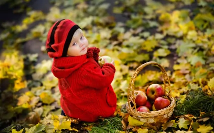 Cute child in a red sweater and hat sits on autumn leaves, holding an apple, with a basket of apples beside. This HD photography makes a charming desktop wallpaper and background.