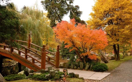 HD photography of a peaceful park scene with a wooden bridge, vibrant autumn trees, and a walking path, captured as a desktop wallpaper and background.
