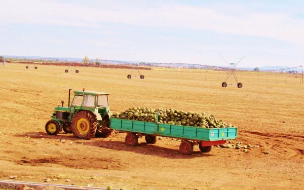 4K Ultra HD desktop wallpaper featuring a green tractor pulling a trailer loaded with produce across a vast, arid farmland under a clear sky.