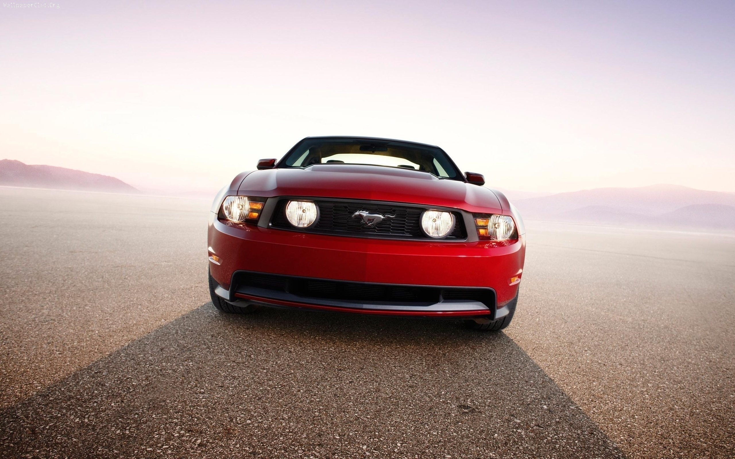 Ford Mustang HD Wallpaper | Background Image | 2560x1600 | ID:370205