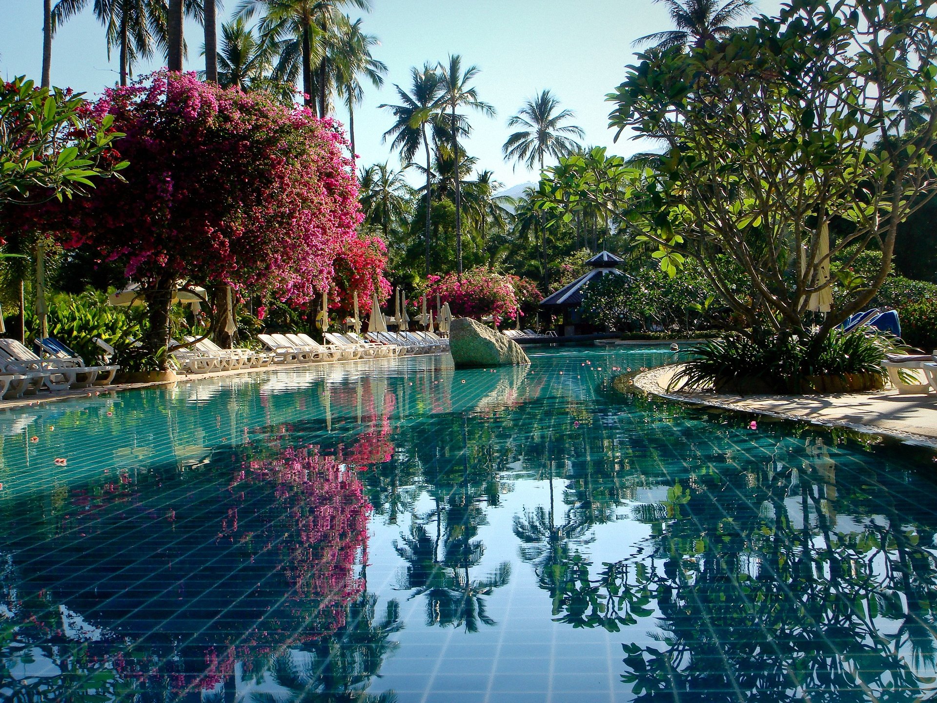 HD desktop wallpaper featuring a man-made resort pool surrounded by lush tropical plants and palm trees under a clear sky.
