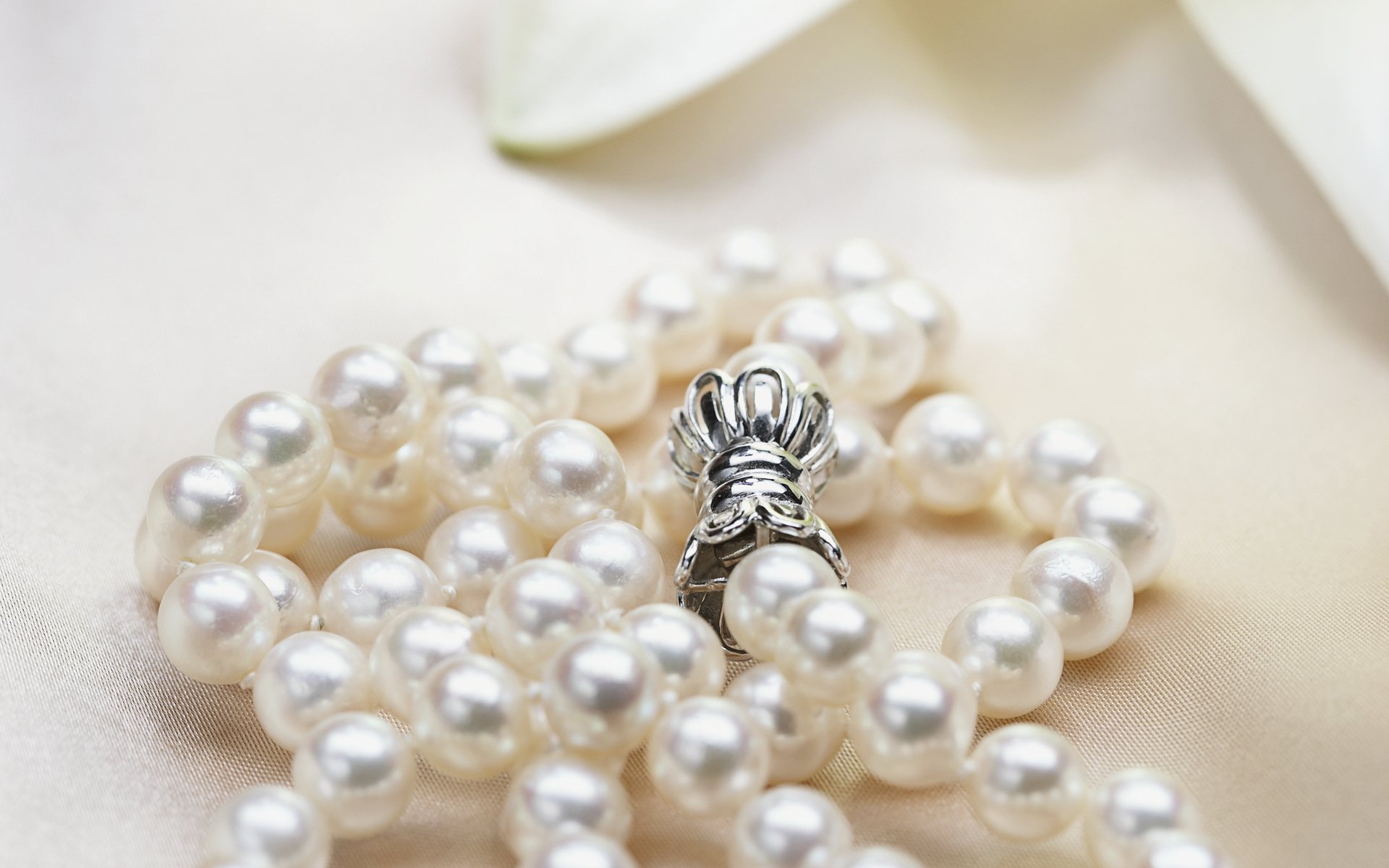 Close-up of a man-made pearl necklace with a silver clasp, captured in high definition for a PC desktop wallpaper background.