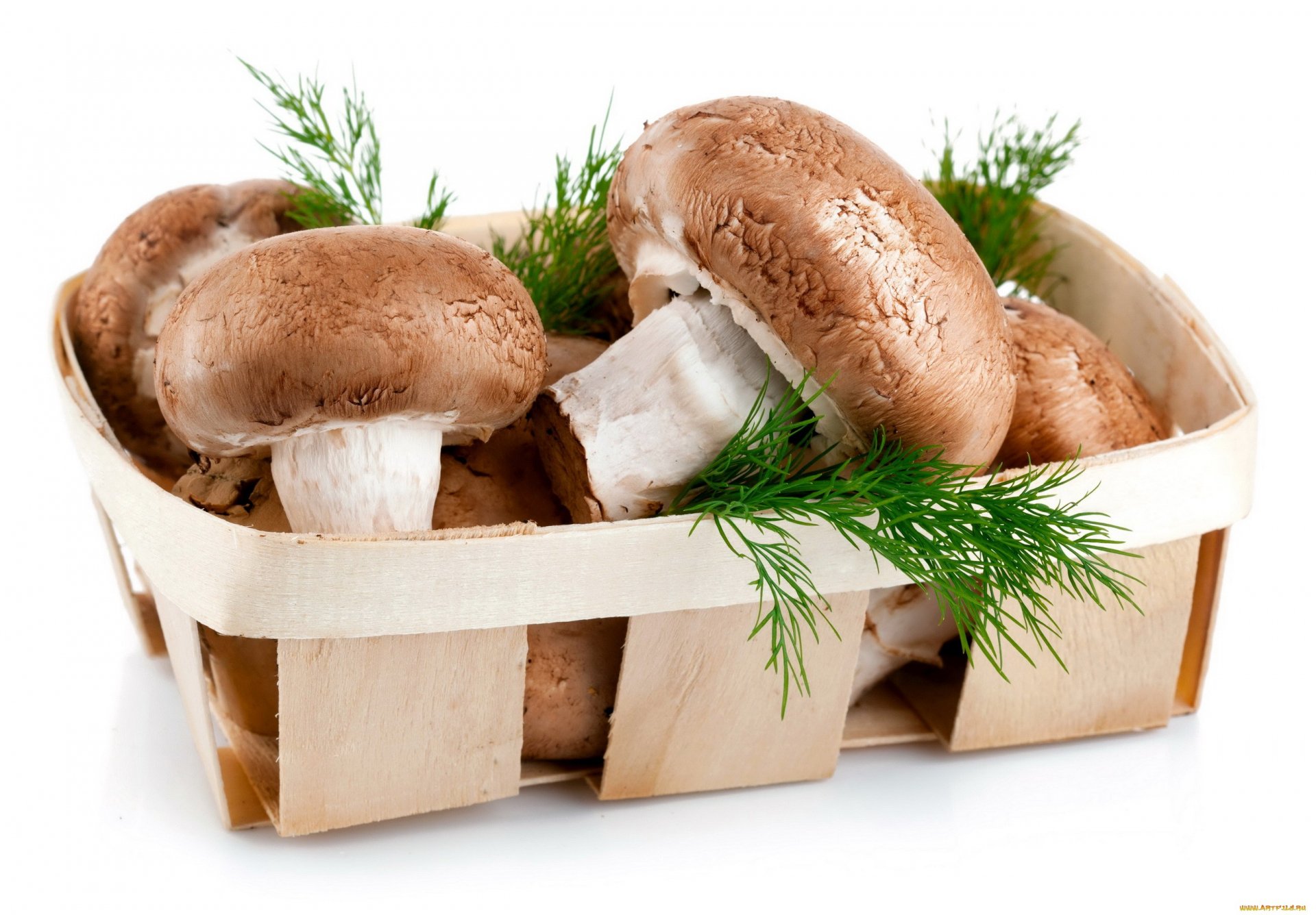 HD PC desktop wallpaper of fresh brown mushrooms in a wooden basket with green herbs, highlighting natural food and mushroom themes.