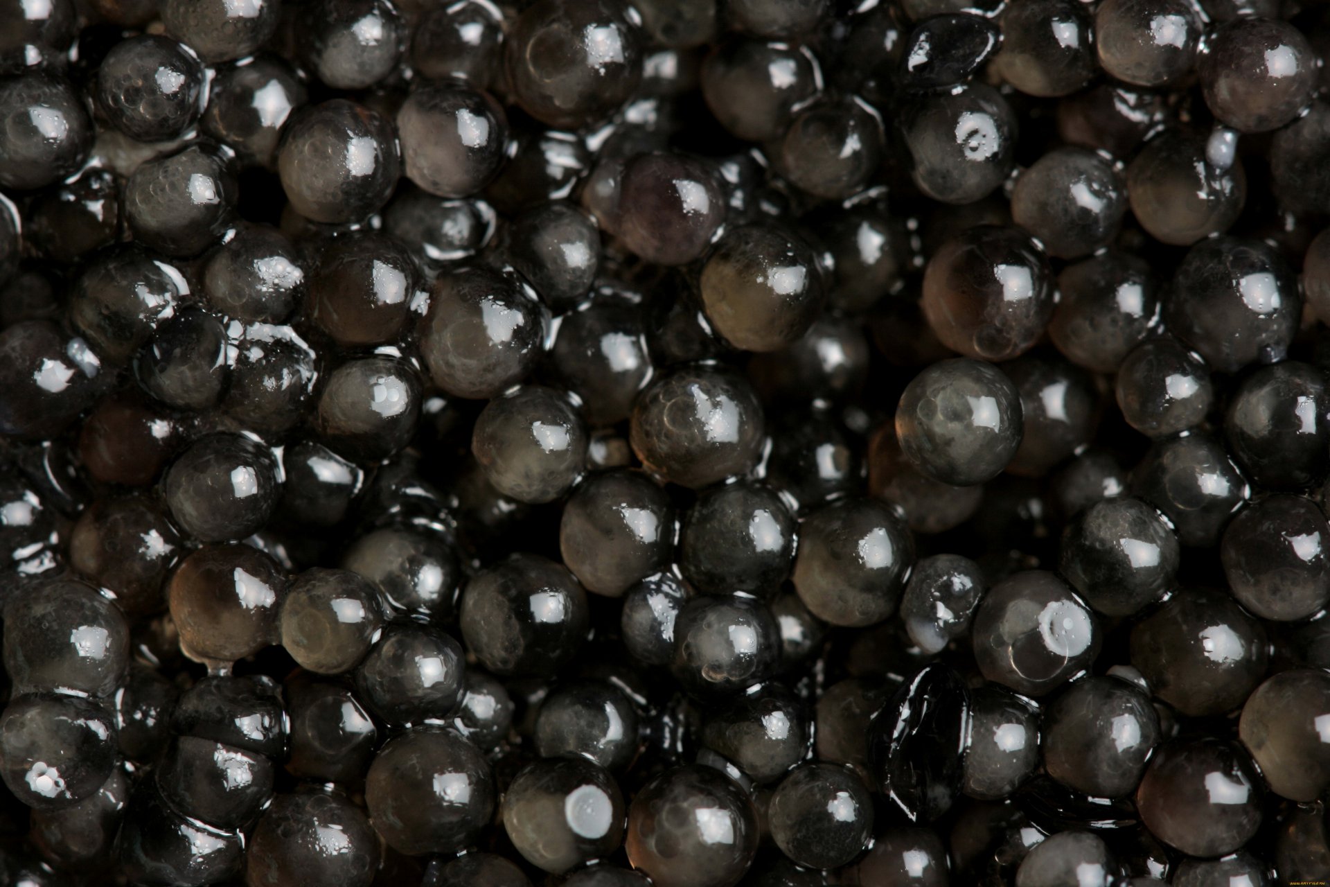 Close-up glossy black caviar beads with rich texture and light reflections, 4K Ultra HD PC desktop wallpaper background.