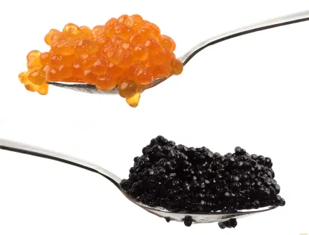 Close-up of black and orange caviar on two silver spoons, captured in crisp 4K Ultra HD clarity for a vibrant food-themed PC desktop wallpaper.