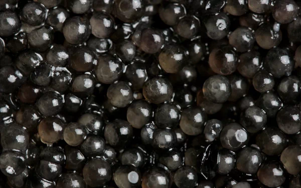 Close-up glossy black caviar beads with rich texture and light reflections, 4K Ultra HD PC desktop wallpaper background.