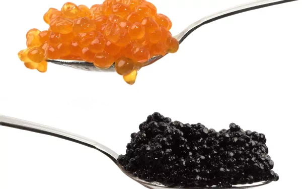 Close-up of black and orange caviar on two silver spoons, captured in crisp 4K Ultra HD clarity for a vibrant food-themed PC desktop wallpaper.