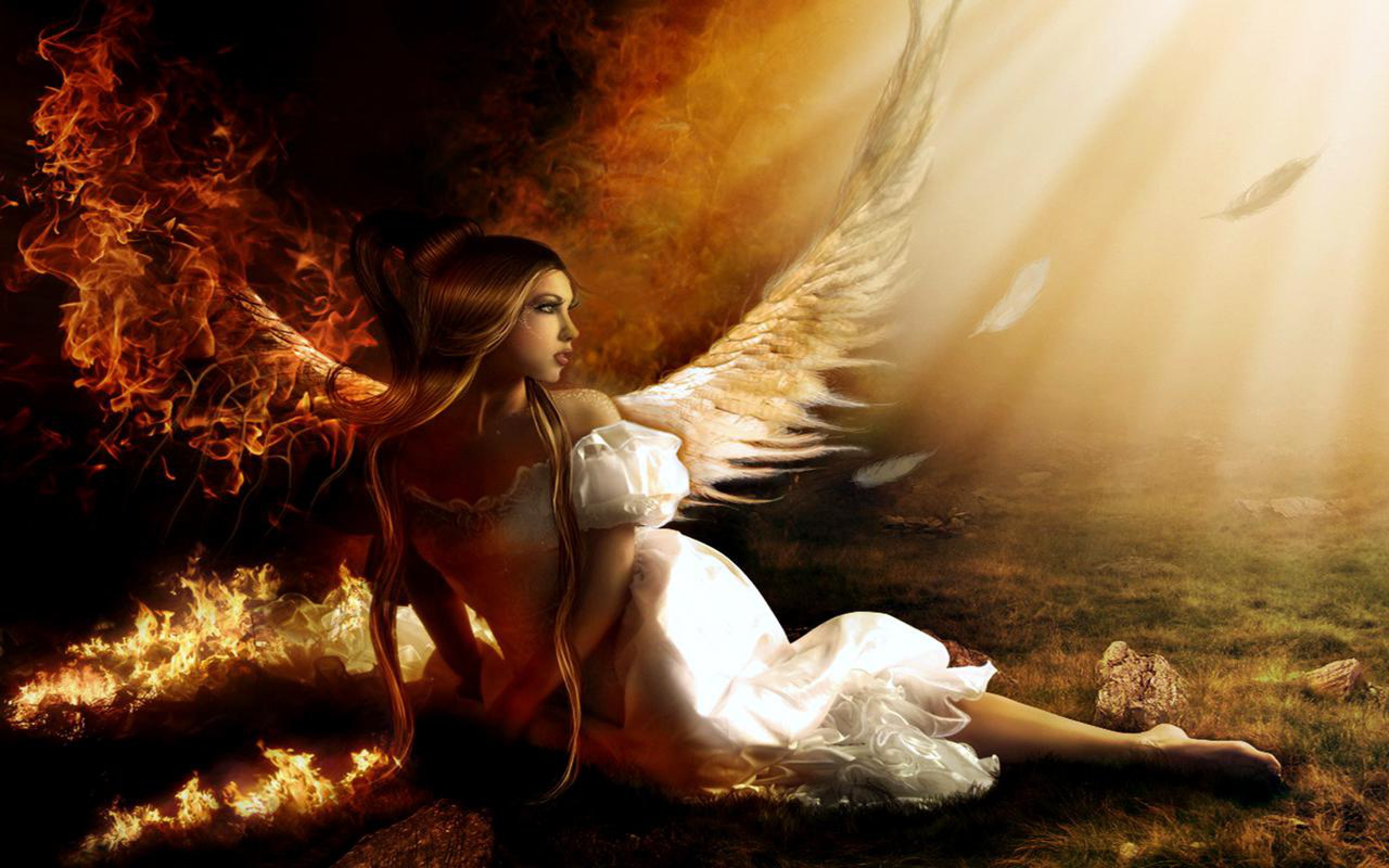 Angel Full Hd Wallpaper And Background Image | 2560X1600 | Id:371318